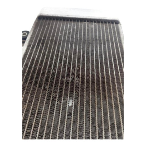 Radiador De Água Kawasaki Modelo Ninja 250 Ano 2011 Original