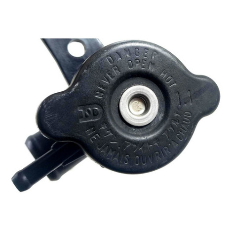 Bocal Do Radiador Marca Kawasaki Ninja 250 Ano 2011 Original