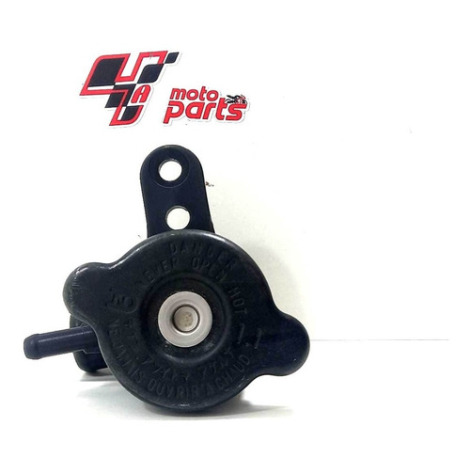 Bocal Do Radiador Marca Kawasaki Ninja 250 Ano 2011 Original