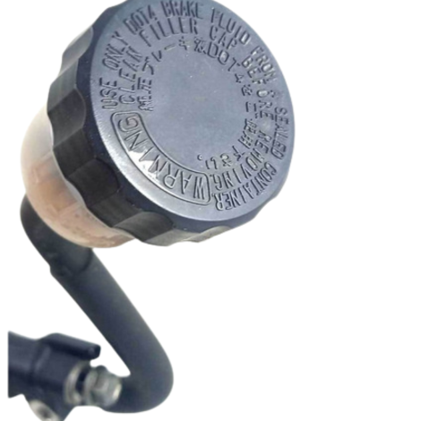 Burrinho Freio Traseiro Fazer 600 Fz6 Ano 2009 Original