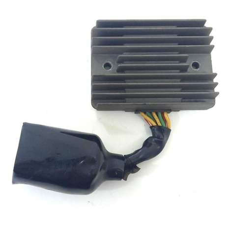 Retificador Honda Cbr 1100 Xx Blackbird Ano 1999 Original