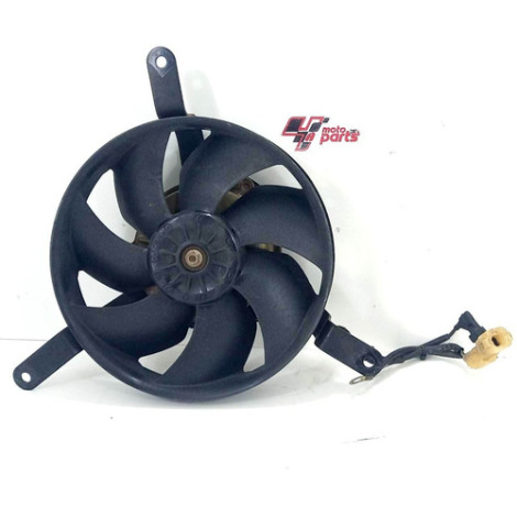 Ventoinha Do Radiador Honda Cbr 1100 Xx Ano 1999 Original
