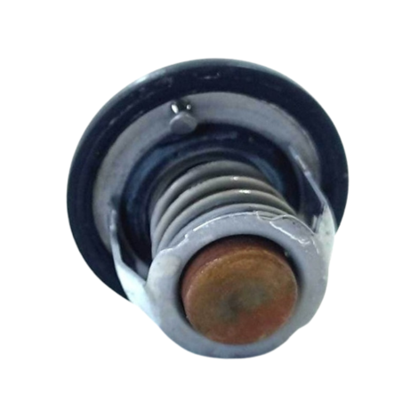 Válvula Termostática Suzuki Gsxr Srad 750 Ano 2012 Original