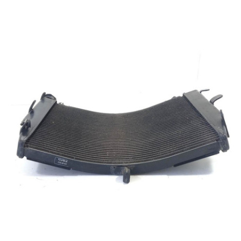 Radiador De Água Suzuki Modelo Gsx S1000 A Ano 2019 Original