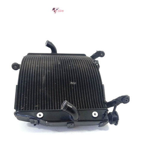 Radiador De Água Suzuki Modelo Gsx S1000 A Ano 2019 Original