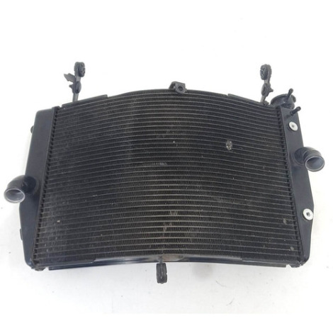 Radiador De Água Suzuki Modelo Gsx S1000 A Ano 2019 Original