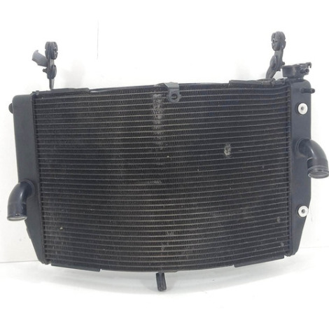 Radiador De Água Suzuki Modelo Gsx S1000 A Ano 2019 Original