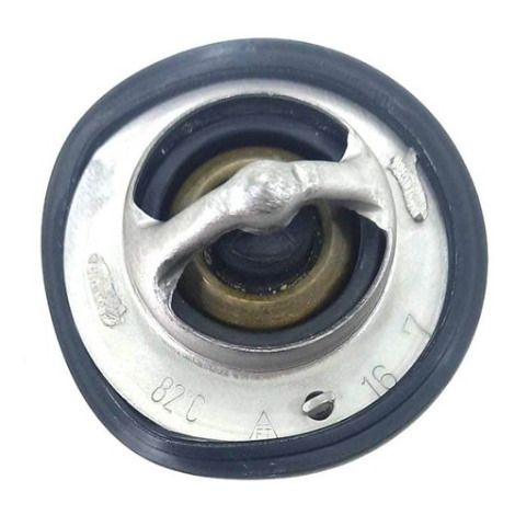 Válvula Termostática Suzuki Gsx S1000 A Ano 2019 Original