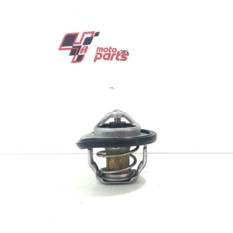 Válvula Termostática Suzuki Gsx S1000 A Ano 2019 Original