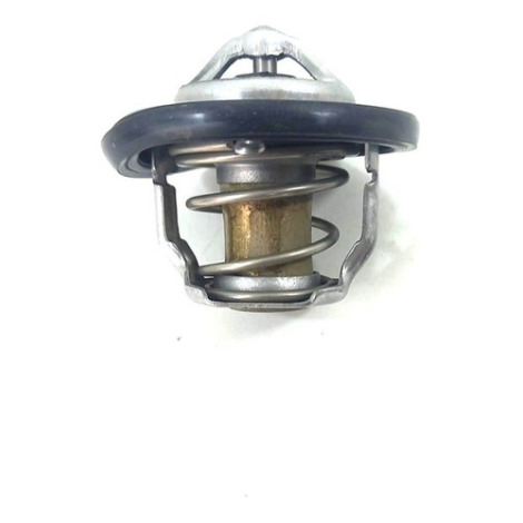 Válvula Termostática Suzuki Gsx S1000 A Ano 2019 Original