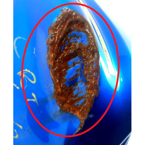 Tanque De Combustível Suzuki Gsx S1000 A Ano 2019 Original