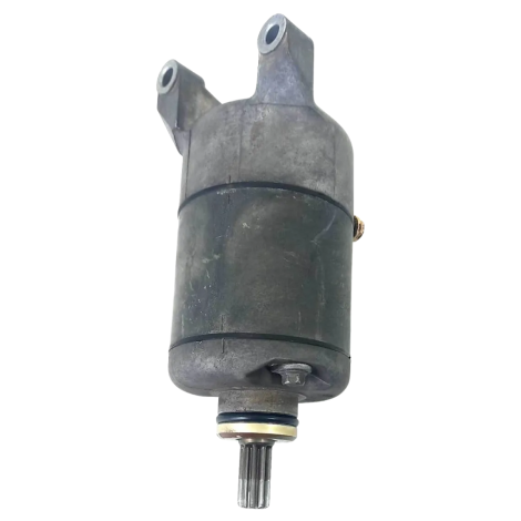 Motor Arranque Marca Yamaha Xtz 250 Tenere Ano 2012 Original