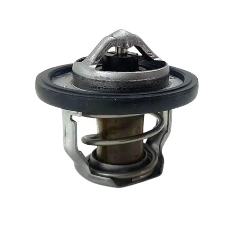 Válvula Termostática Suzuki Gsx S1000 F A Ano 2016 Original