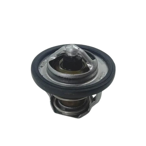 Válvula Termostática Suzuki Gsx S1000 F A Ano 2016 Original