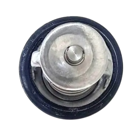 Válvula Termostática Honda Cbr 600 Rr Ano 2008 Origina