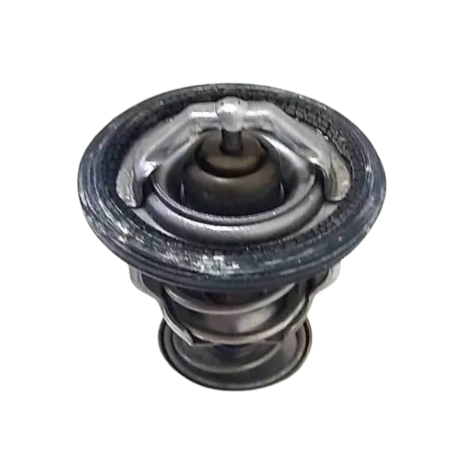 Válvula Termostática Honda Cbr 600 Rr Ano 2008 Origina