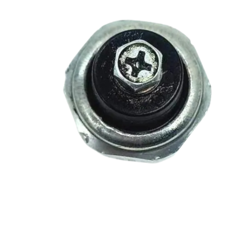 Sensor Cebolinha Óleo Kawasaki Versys 650 Ano 2020 Original