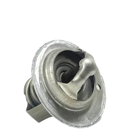 Válvula Termostática Kawasaki Versys 650 Ano 2020 Original