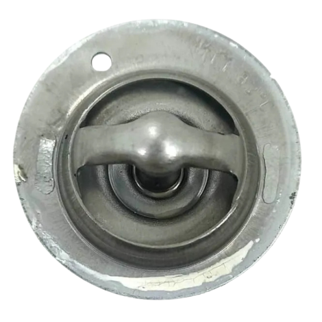 Válvula Termostática Kawasaki Versys 650 Ano 2020 Original