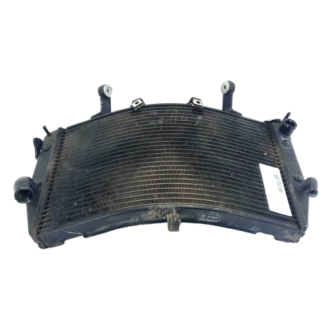 Radiador Água Marca YAMAHA Modelo YZF R1 ANO 2004 ORIGINAL