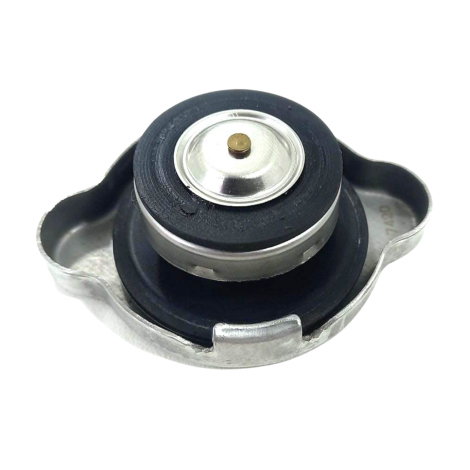 Tampa Radiador Honda Modelo Cbr 600 Rr Ano 2007 Original