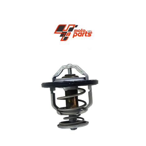 Válvula Termostática Honda Cbr 600 Rr Ano 2007 Original     