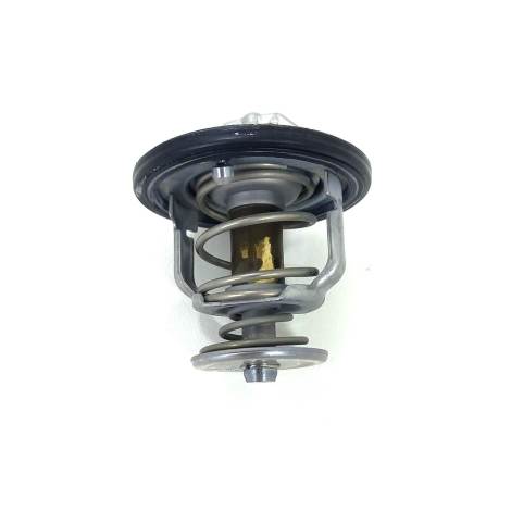 Válvula Termostática Honda Cbr 600 Rr Ano 2007 Original     