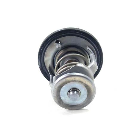 Válvula Termostática Honda Cbr 600 Rr Ano 2007 Original     