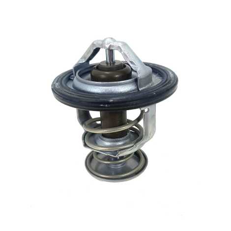 Válvula Termostática Honda Cbr 600 Rr Ano 2007 Original     