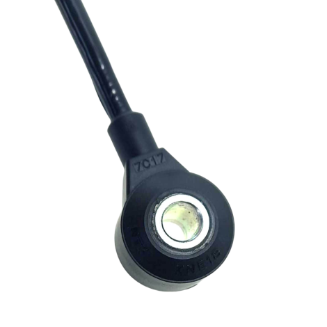 Sensor Detonação Marca Honda Modelo Cbr 600 Rr 2007 Original