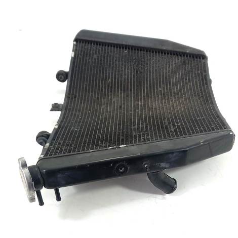 Radiador de Água Suzuki Modelo Srad 1000 Ano 2012 Original