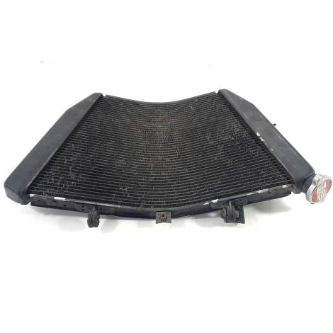 Radiador de Água Suzuki Modelo Srad 1000 Ano 2012 Original