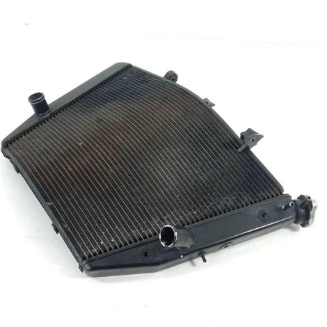 Radiador de Água Suzuki Modelo Srad 1000 Ano 2012 Original