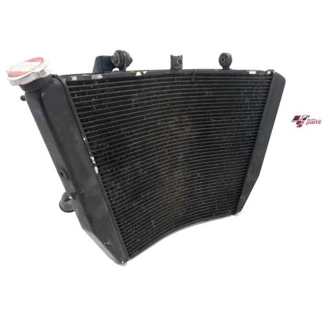 Radiador de Água Suzuki Modelo Srad 1000 Ano 2012 Original