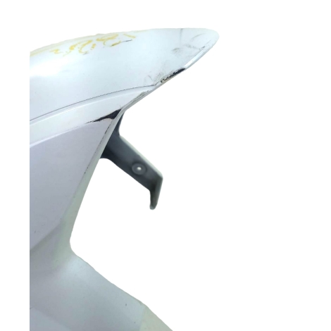 Paralama Dianteiro Kawasaki Ninja Zx10 R Ano 2017 Original