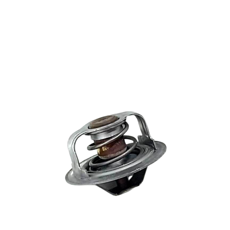 Válvula Termostática Kawasaki Ninja Zx10 R Ano 2017 Original