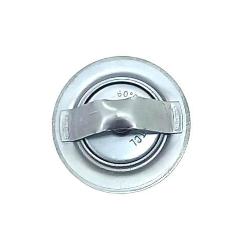 Válvula Termostática Kawasaki Ninja Zx10 R Ano 2017 Original