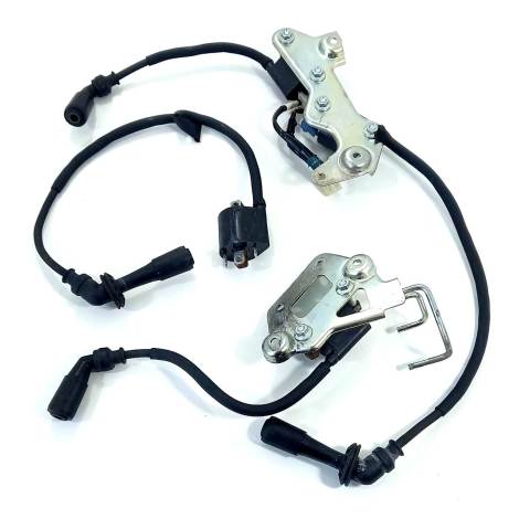 Conjunto Bobina Ignição Suzuki V-strom 1000 Ano 2019 Origina
