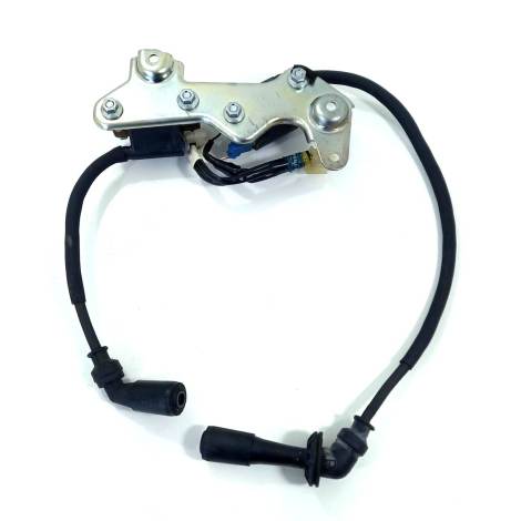 Conjunto Bobina Ignição Suzuki V-strom 1000 Ano 2019 Origina