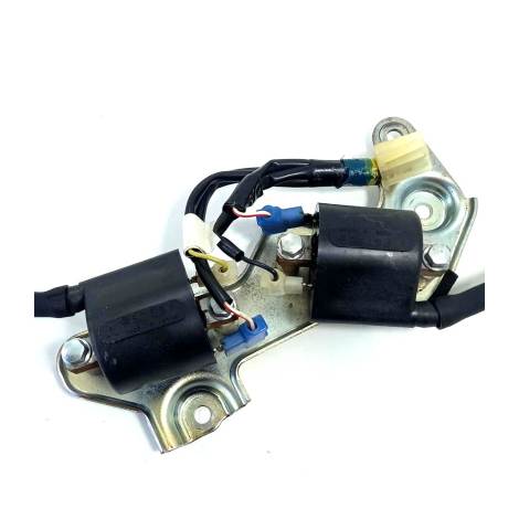 Conjunto Bobina Ignição Suzuki V-strom 1000 Ano 2019 Origina