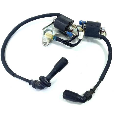 Conjunto Bobina Ignição Suzuki V-strom 1000 Ano 2019 Origina