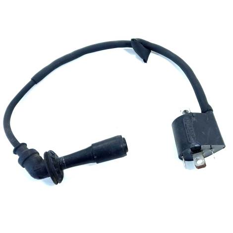 Conjunto Bobina Ignição Suzuki V-strom 1000 Ano 2019 Origina