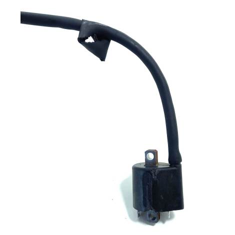 Conjunto Bobina Ignição Suzuki V-strom 1000 Ano 2019 Origina