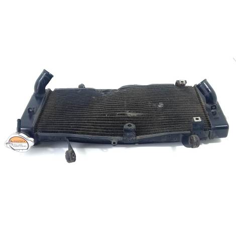 Radiador Água Suzuki V-Strom 1000 2019 Original RECUPERAR   