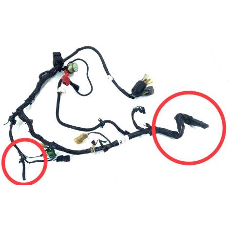 Chicote Principal Honda Falcon NX 400 2001 Original AVARIA