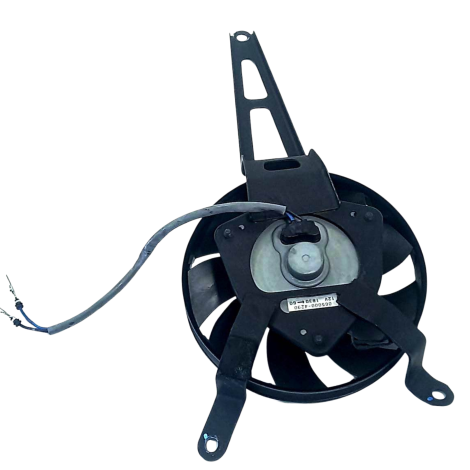 Ventoinha Radiador Kawasaki Ninja Zx10 R Ano 2020 Original