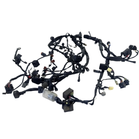 Chicote Principal Kawasaki Ninja Zx10 R 2020 Original AVARIA