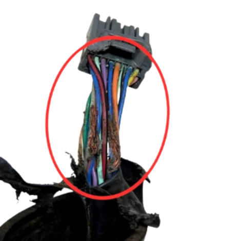 Chicote Principal Kawasaki Ninja Zx10 R 2020 Original AVARIA