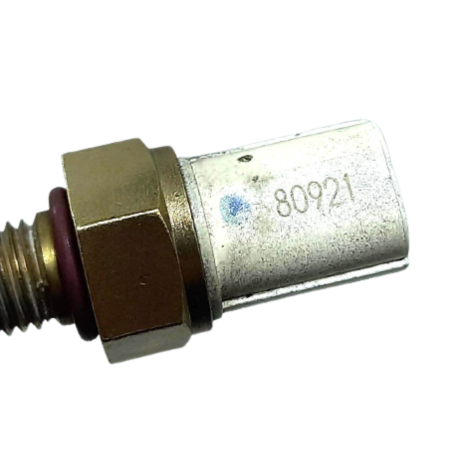 Sensor Temperatura Kawasaki Ninja Zx10 R Ano 2020 Original