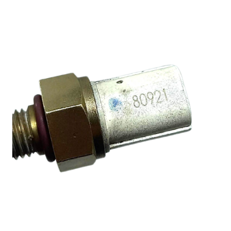 Sensor Temperatura Kawasaki Ninja Zx10 R Ano 2020 Original